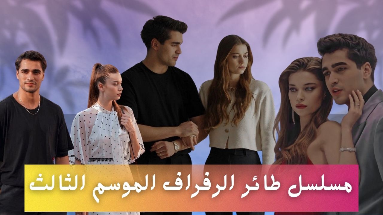 مسلسل طائر الرفراف الموسم الثالث