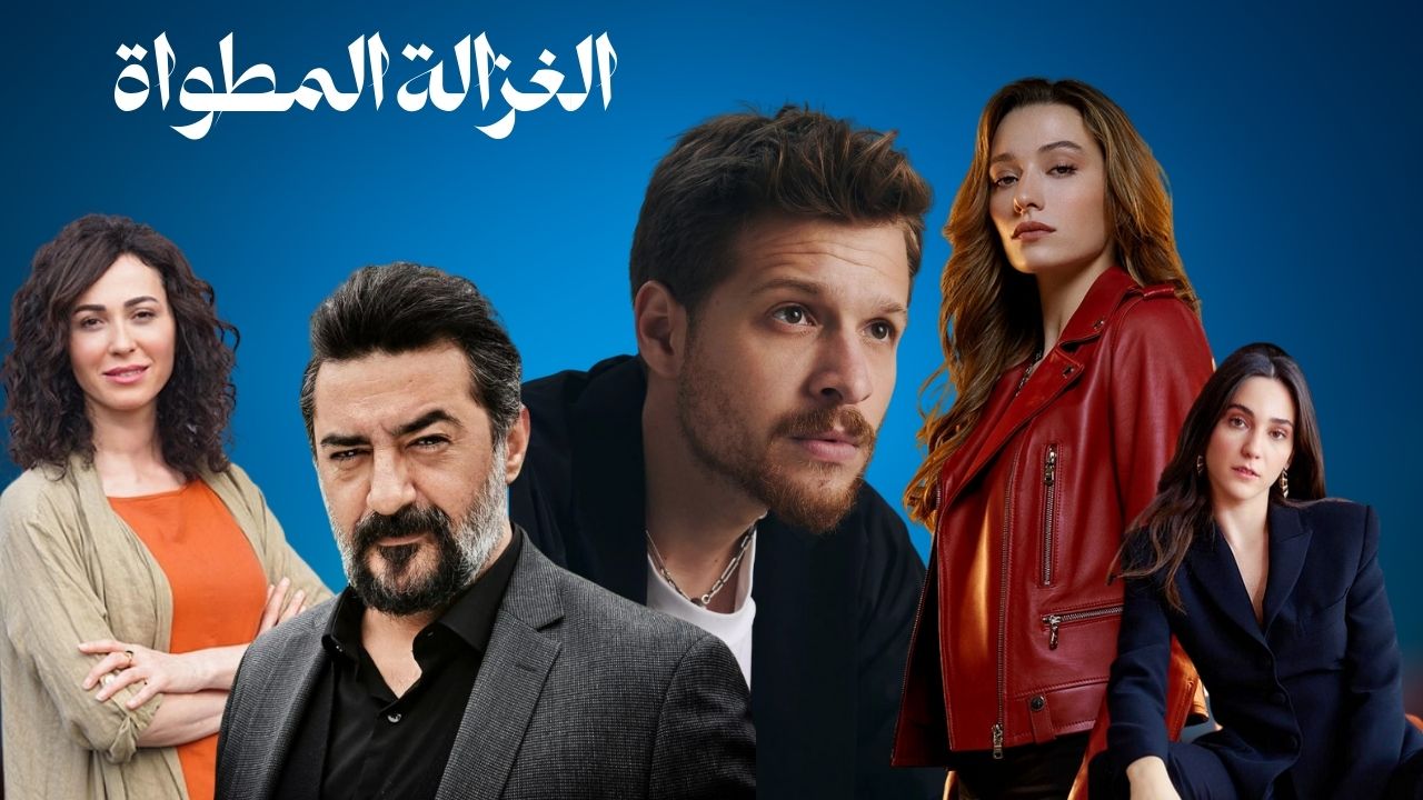 الغزالة المطواة